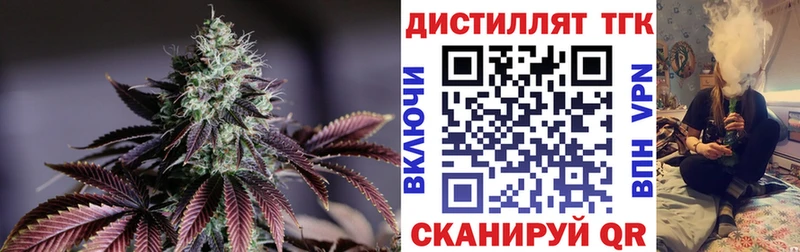 Купить где  Качканар  ТГК концентрат 