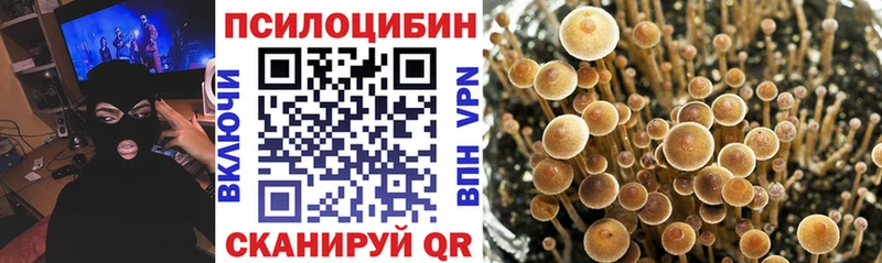 Псилоцибиновые грибы Psilocybine cubensis  Купить закладки  Качканар 